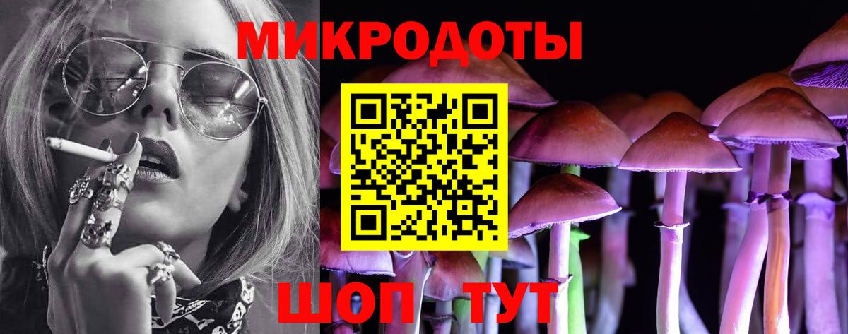 Псилоцибиновые грибы мицелий Белогорск